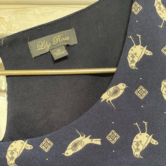 Lily Rose bird dress - Picture 6 of 7